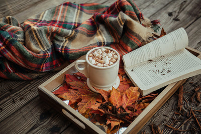 Embrace the Season: Cozy Throws and Blankets for Fall